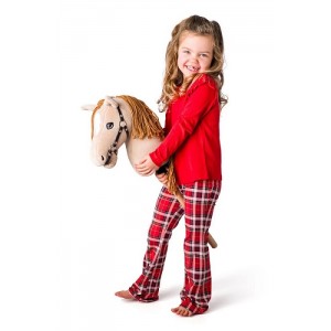 Žaislinis jojimo arkliukas Hobby Horse Premium